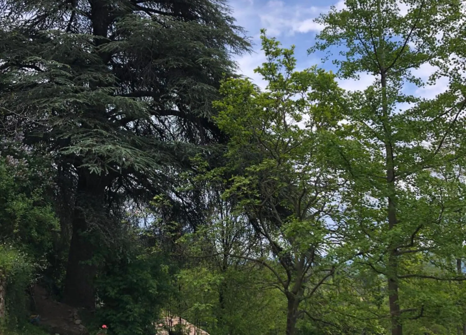 Appartamento La Chataigne Perchee, Piscine Et Nature Chirols