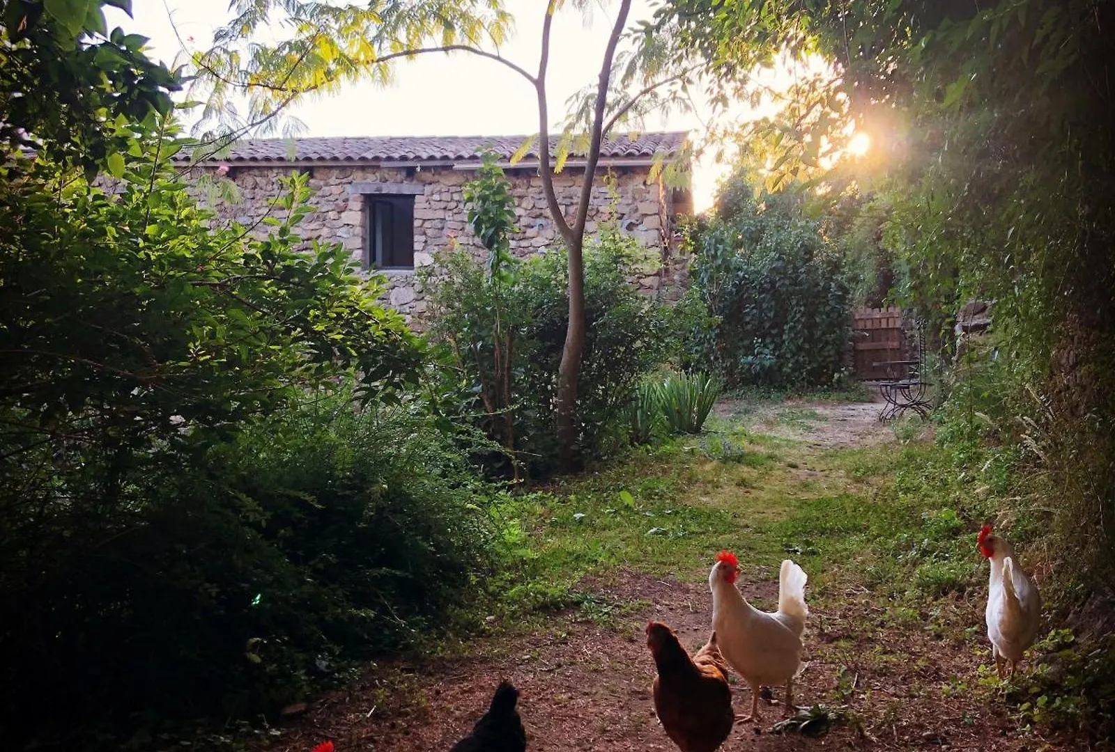 La Chataigne Perchee, Piscine Et Nature Chirols