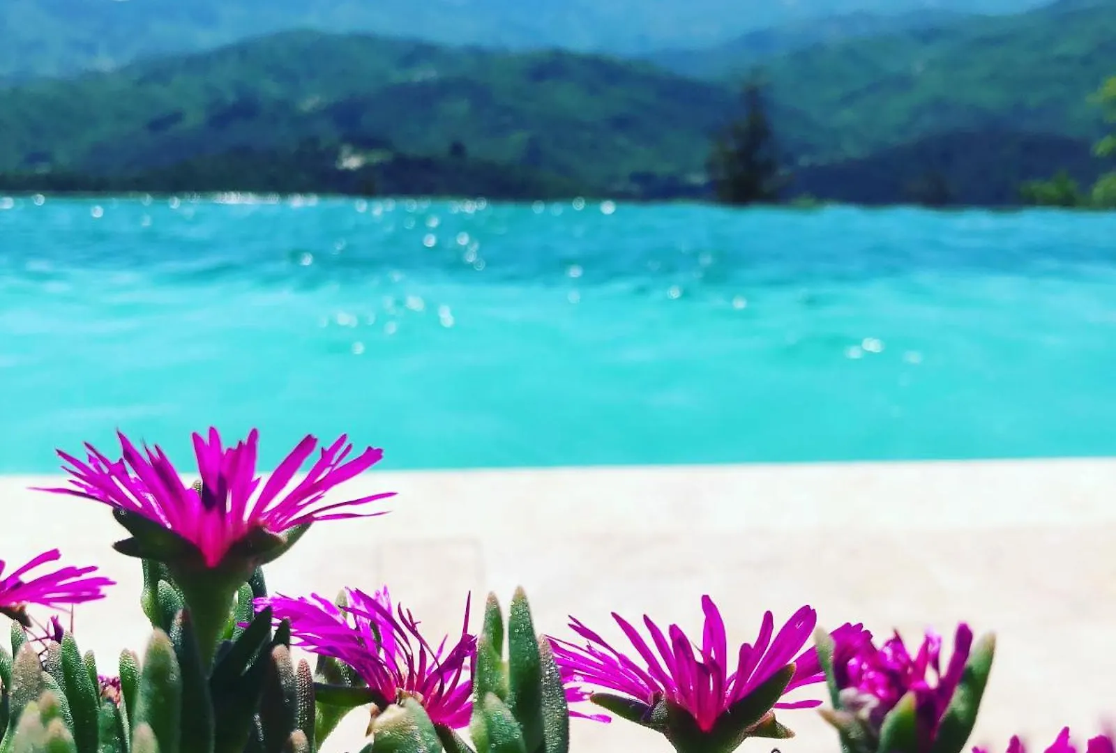 La Chataigne Perchee, Piscine Et Nature Chirols Francia